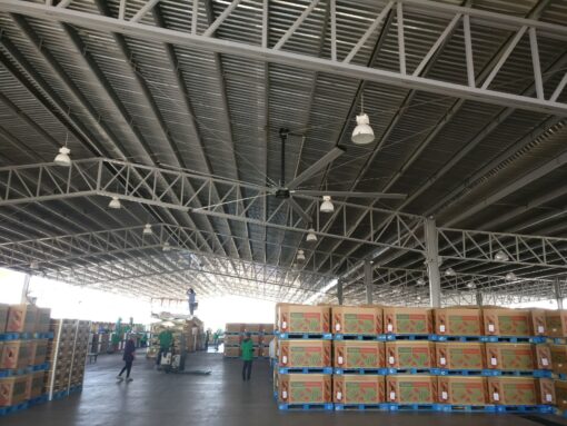 QUẠT TRẦN CÔNG NGHIỆP BOREAS 3