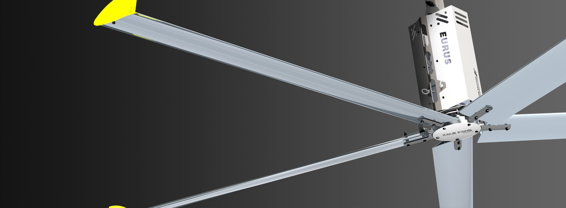 Archive Banner